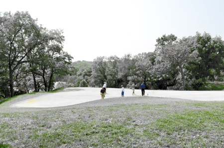 Slide Show Image